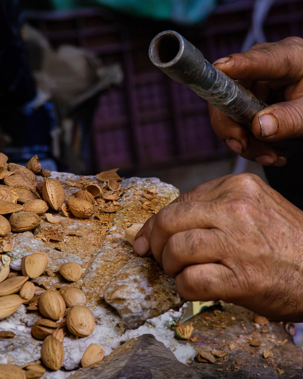 Hands cracking argan nuts between two stones